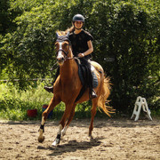 DSC04201
