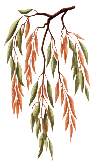 365.png