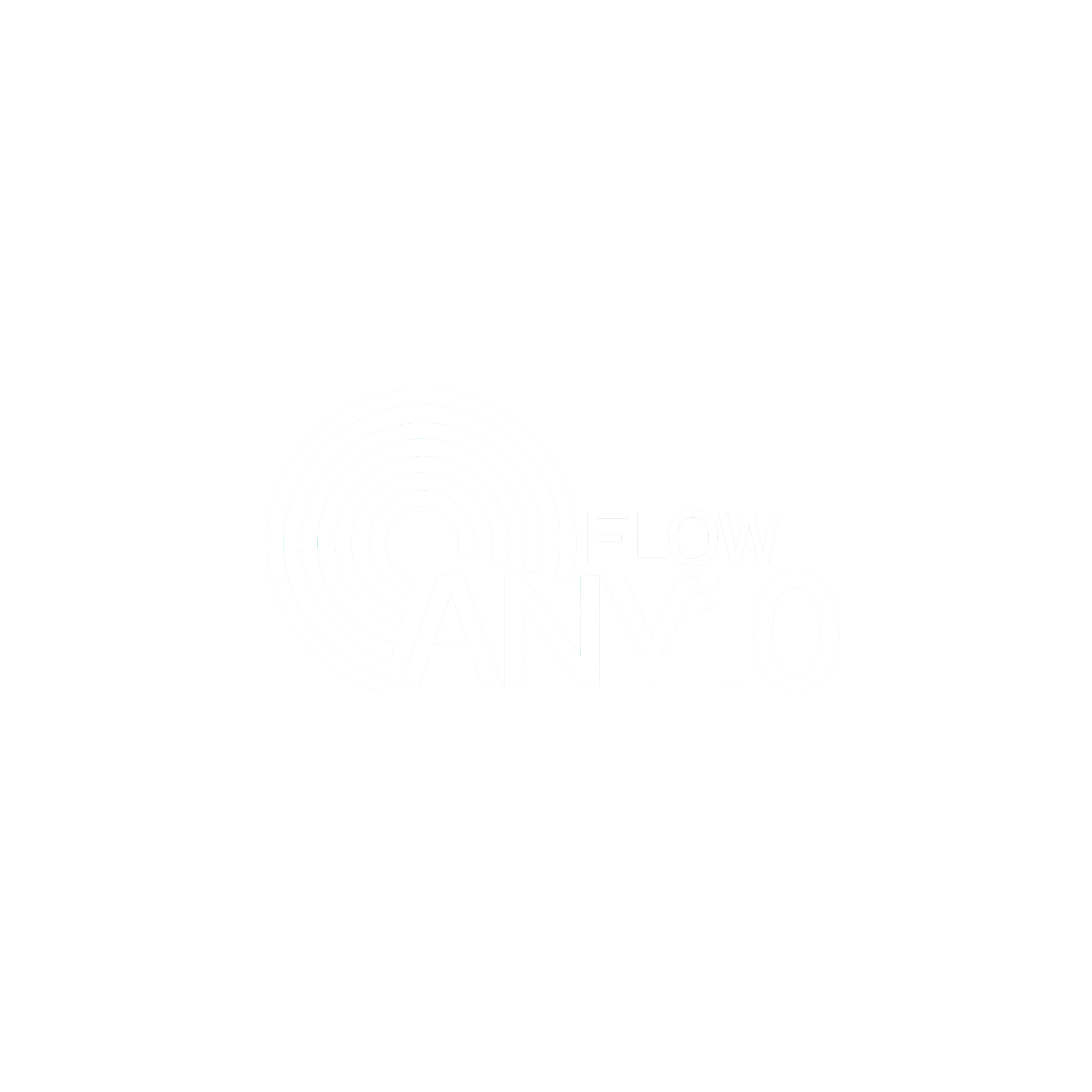 Any10Flow