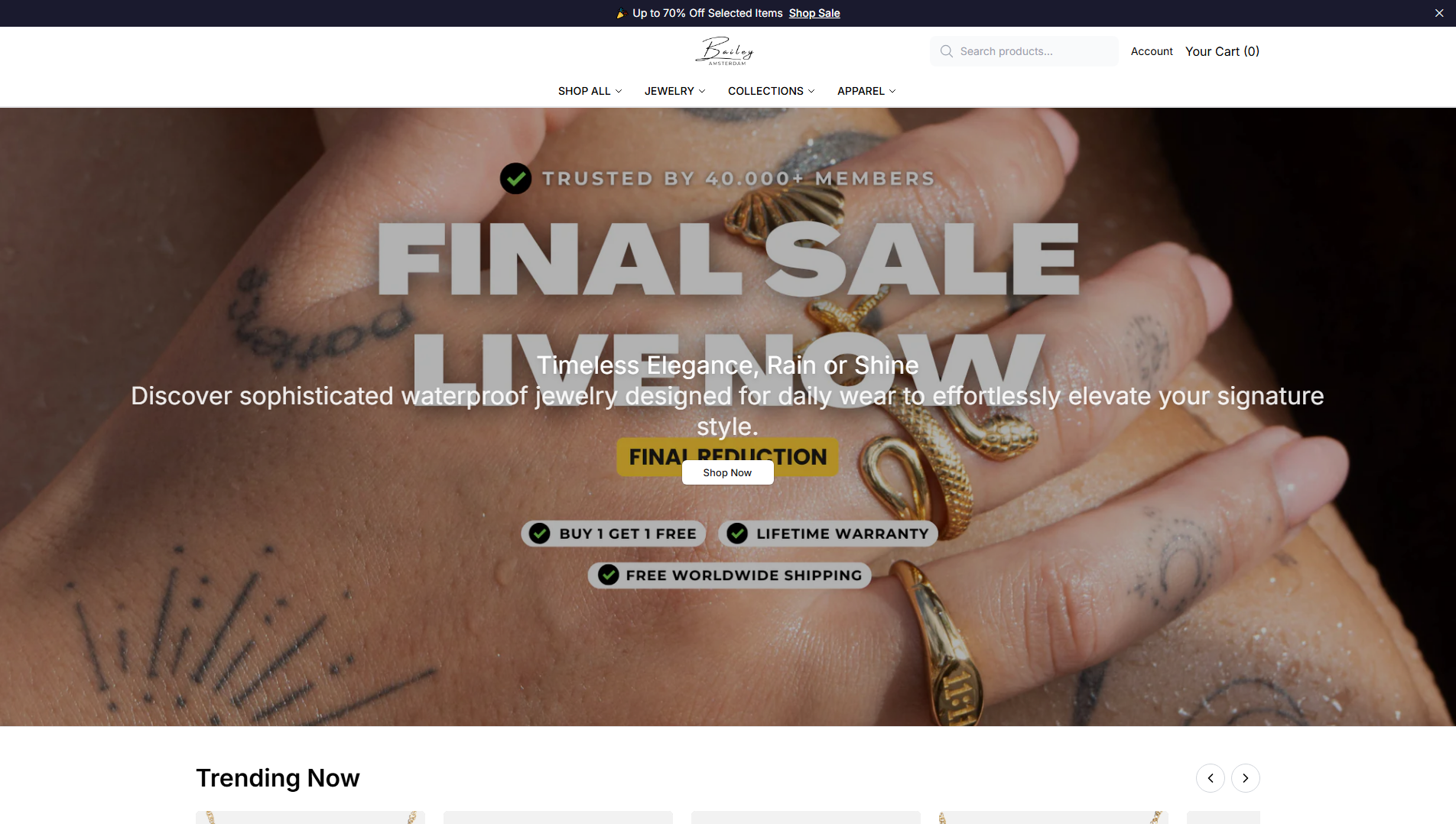 Stored capture of baileyamsterdamjewelry.shop
