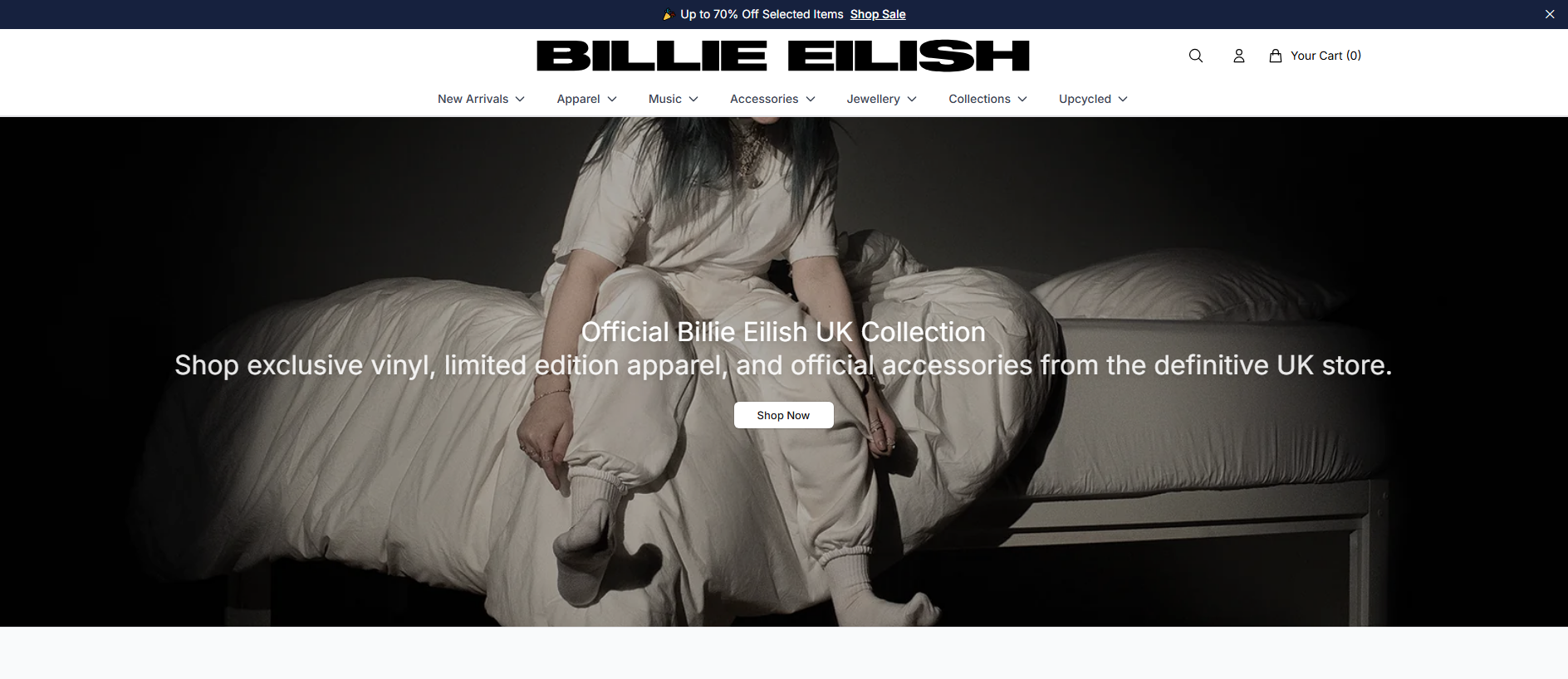 Primary capture · billieeilishboutique.shop
