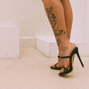 desantis set07
