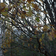 DSC7502-result