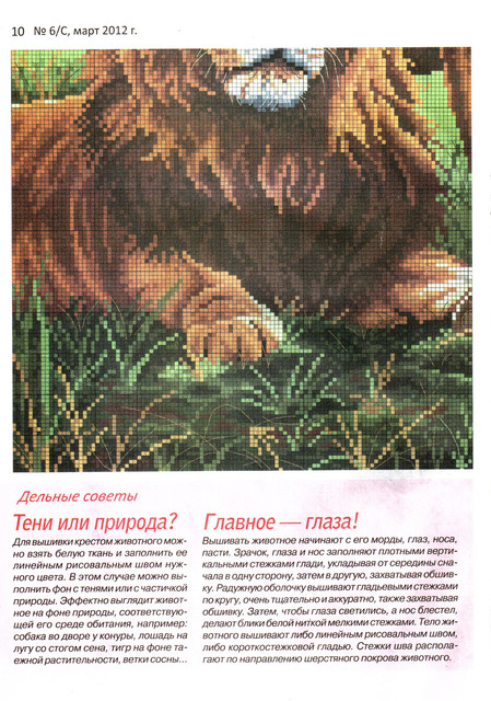 scan-10