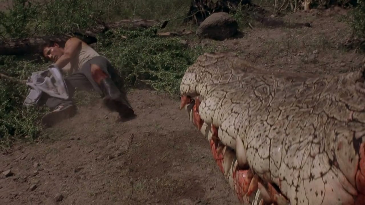 Crocodile Screenshot