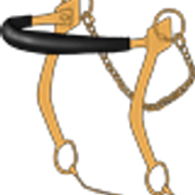 hackamore2 2