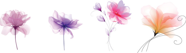 shutterstock 2406701147.jpg