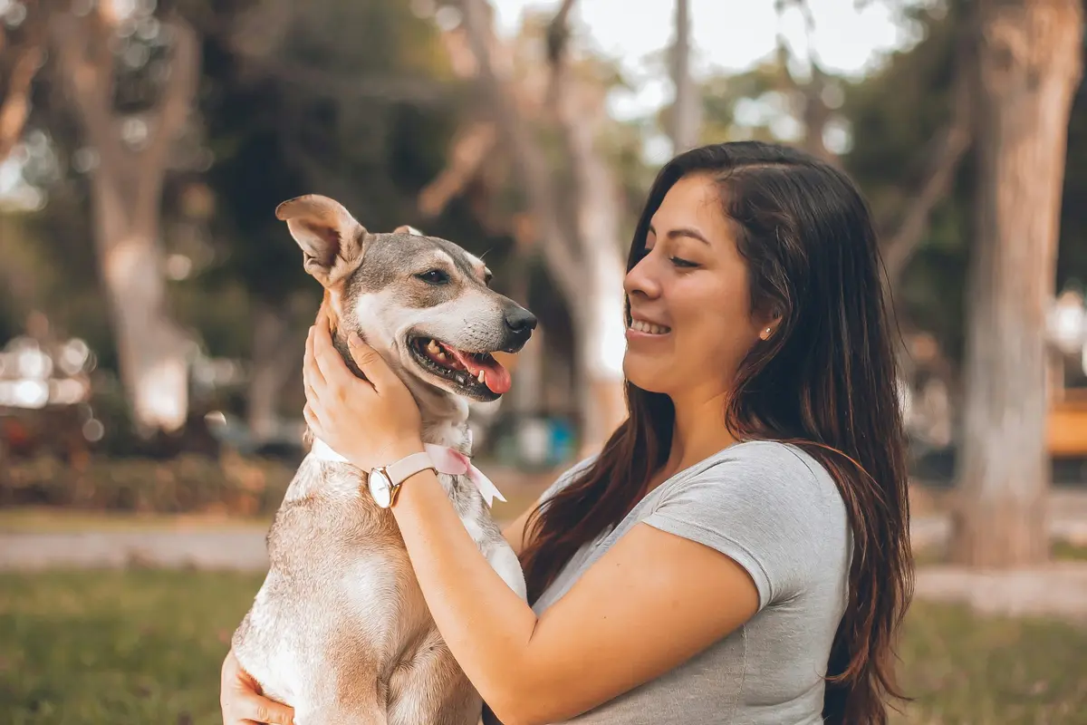 Signs Your Dog Enjoys Daycare: What to Look For