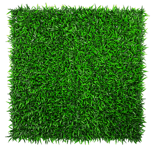 oie-transparent-4.png