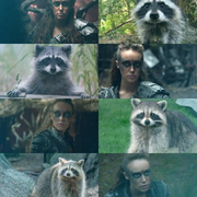 Lexa Raccoon