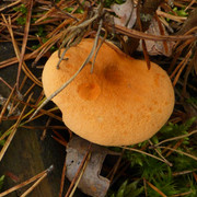 P1130685