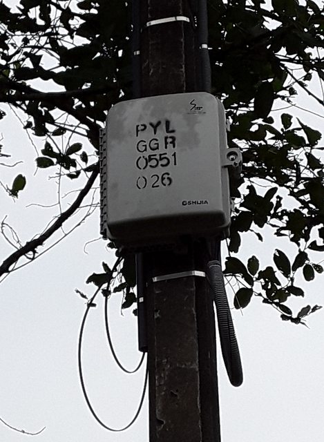 wXNtURLl.jpg