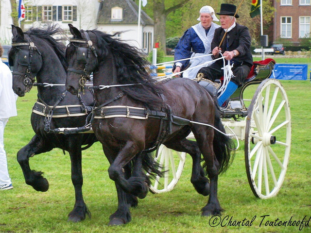Friesiancarriage