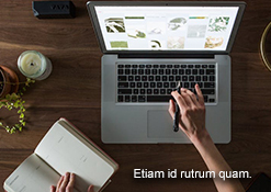 Merkle-Email-Dev-sample-email-03