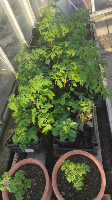 1000000048