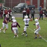 IMG-0239