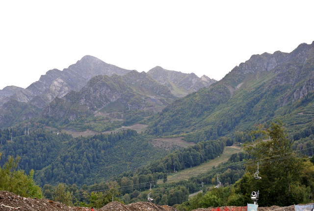 DSC-6950.jpg