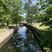 IMG-3052