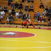 IMG-0293