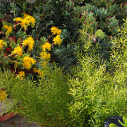 IMG-7028