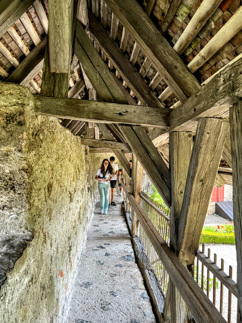 IMG-4794