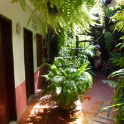 P1100568