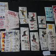 IMG-2043