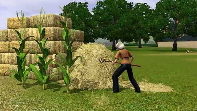 Screenshot 18
