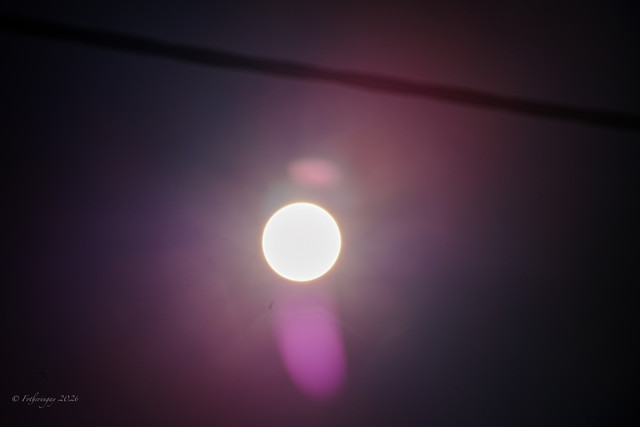 DSF6650.jpg