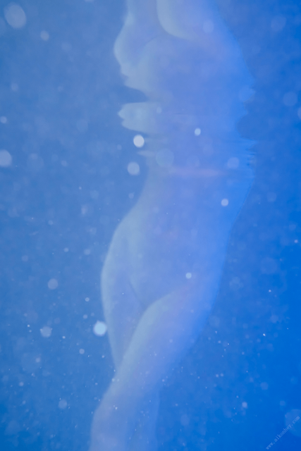 Av-54