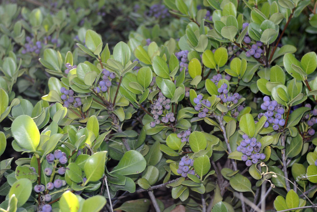 DSC7280.jpg