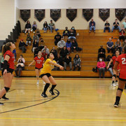 IMG-0251