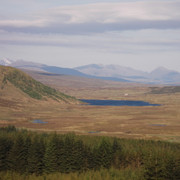 DSCF3633