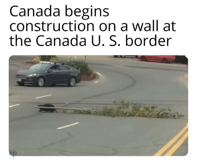 cawll.jpg