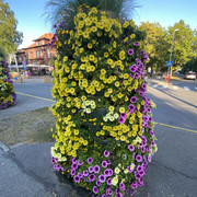 IMG-2365