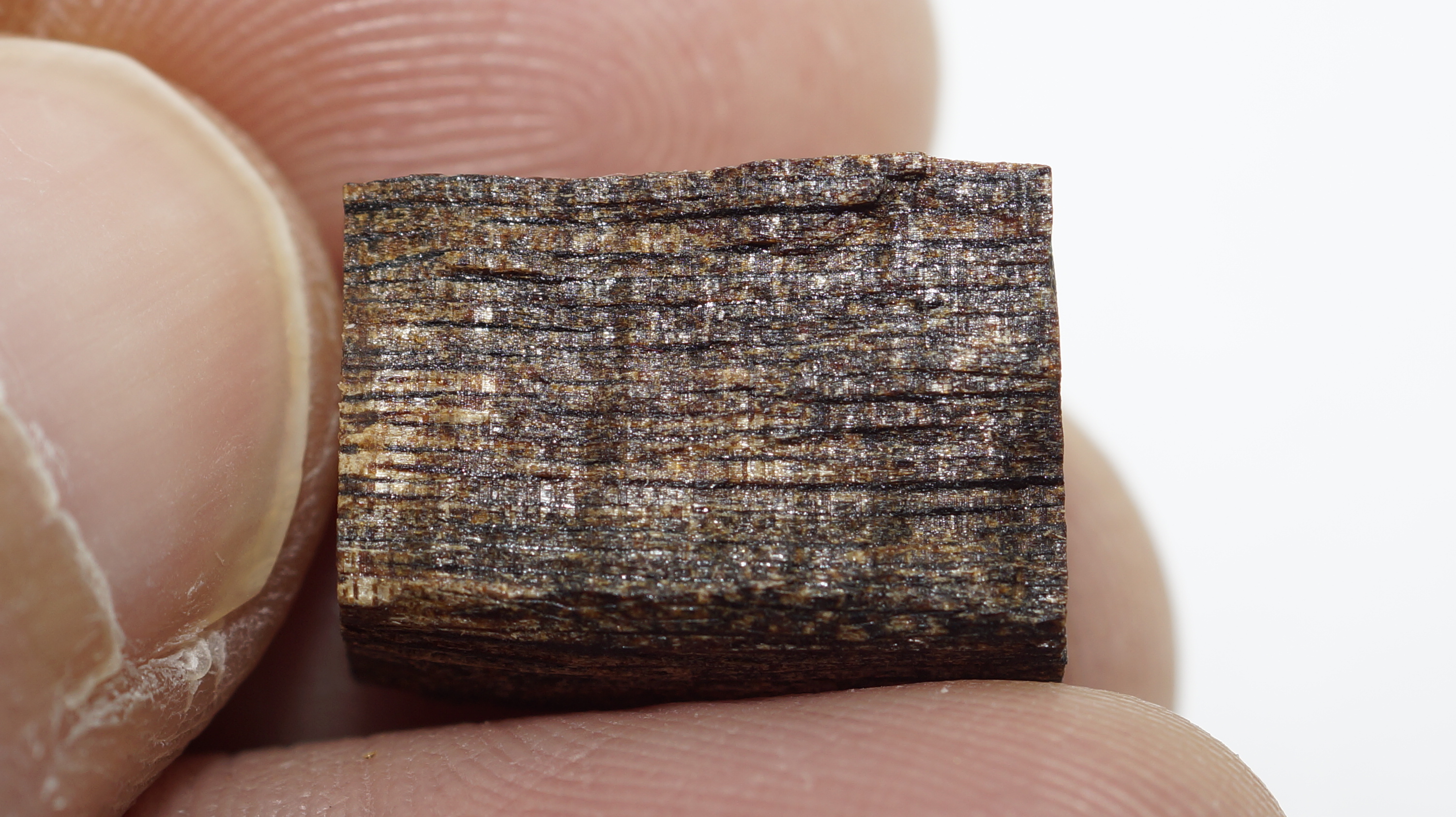 [Ouddict.com] Oud Wood