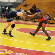 IMG-0781