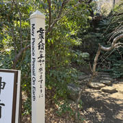 IMG-2625