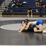 IMG-0333