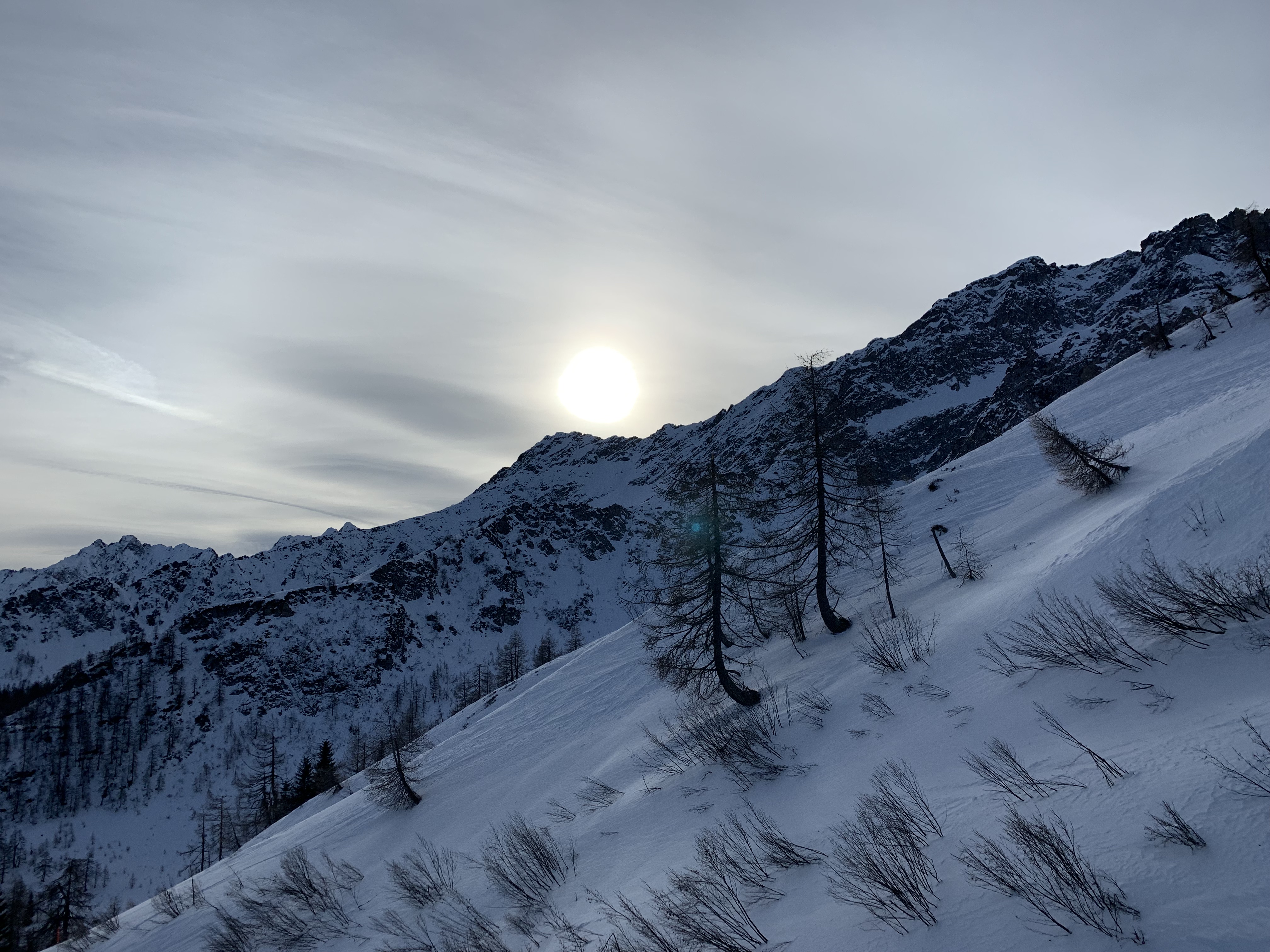 IMG-0761.jpg