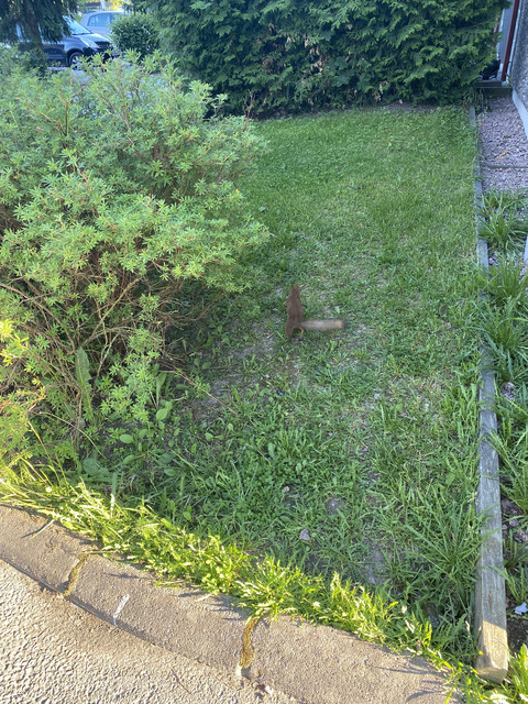 08-E52-D61-2-A4-D-48-D3-83-F2-B516-D733-