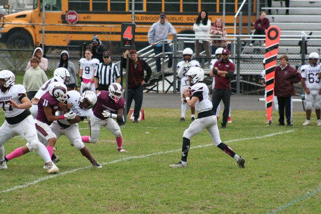 IMG-0322.jpg