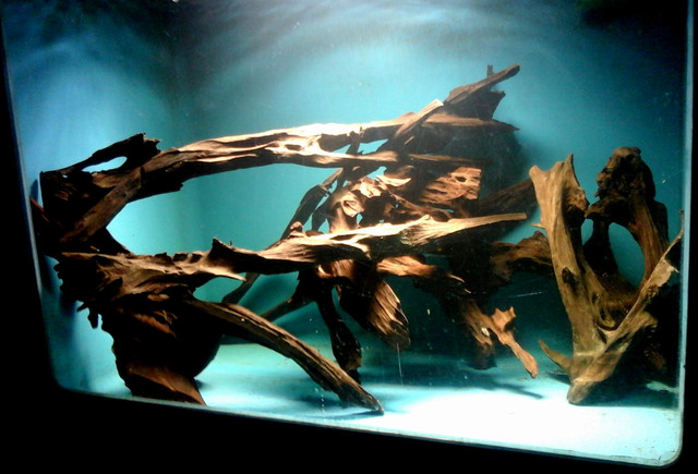 Photo0043