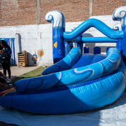 DSC6001