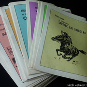 IMG-8977