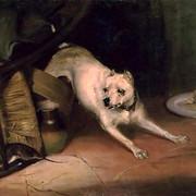 Dog-Chasing-a-Rat