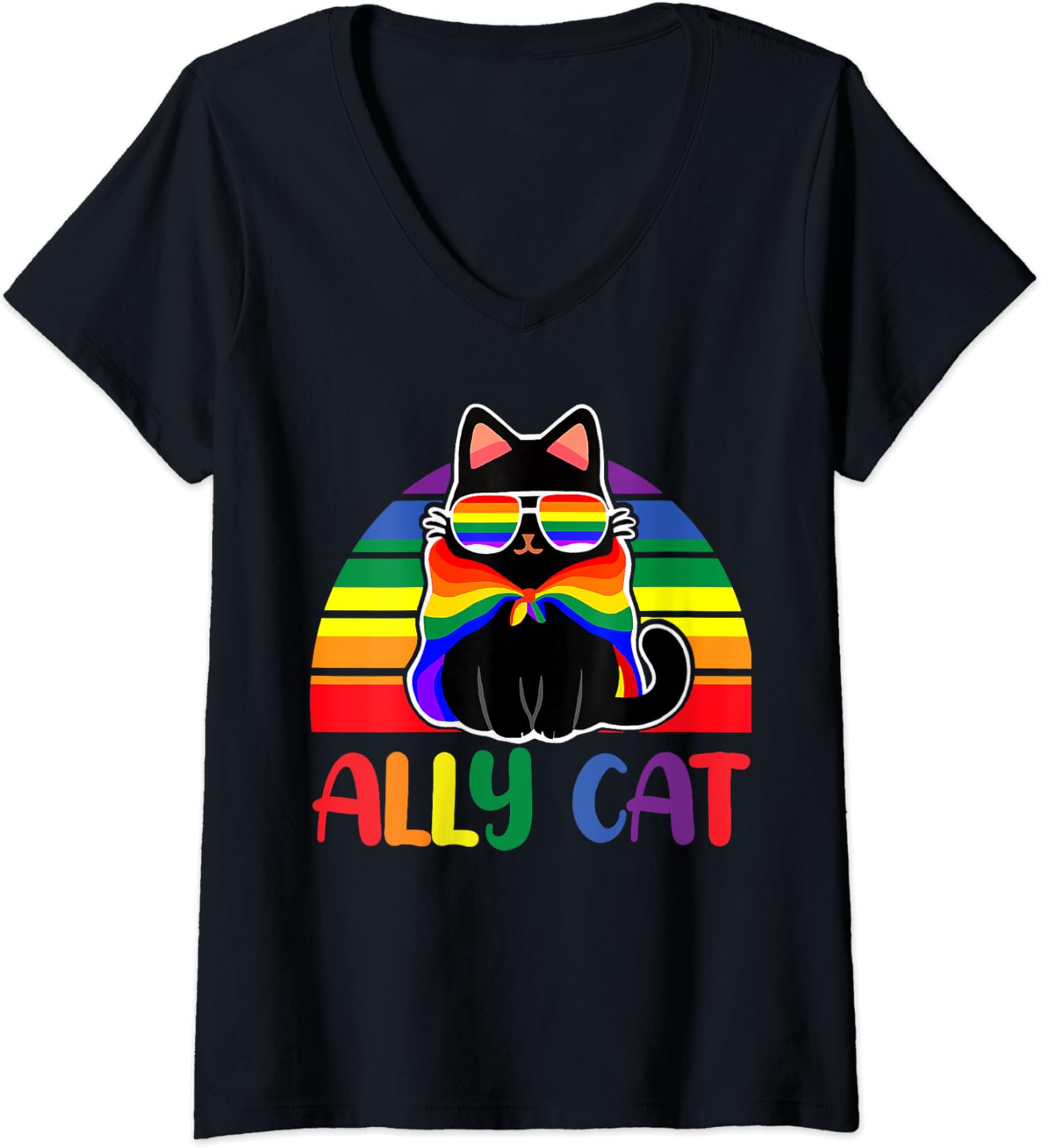 LGBT Ally Cat Be Kind Gay Rainbow LGBTQ Flag Ladies’ V-Neck Tshirt