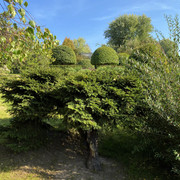 IMG-0573