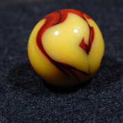 DSCN5366