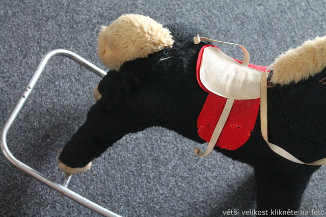 IMG-8846.jpg
